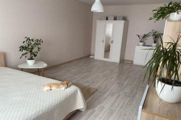 Фото №5: 1-комнатная квартира 44 м² - Горячий Ключ, мкр. Администрация, ул. Ленина, 252