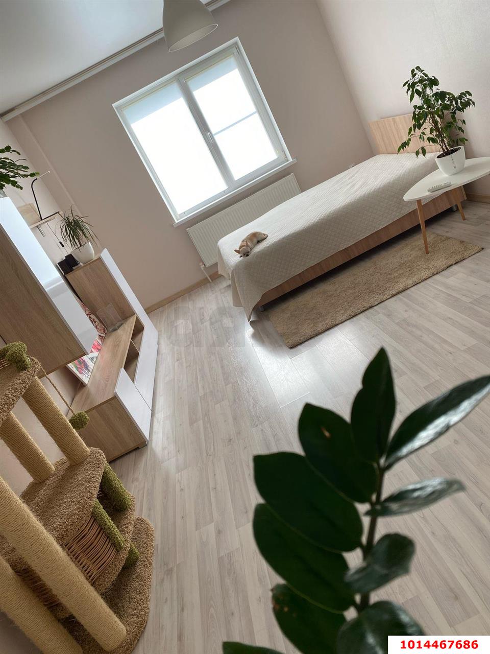 Фото №6: 1-комнатная квартира 47 м² - Горячий Ключ, Администрация, мкр. Администрация, ул. Ленина, 252