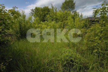 Фото №3: Земельный участок под ИЖС - Саратовская, ул. Розовая