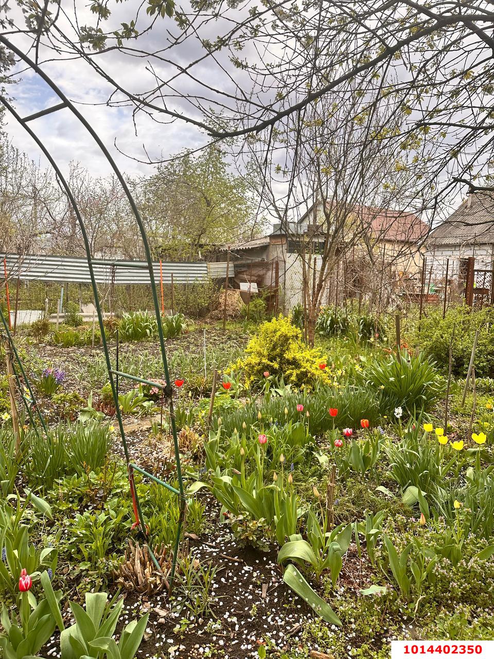 Фото №2: Дом 50 м² + 4 сот. - Виктория, Карасунский внутригородской округ, ул. Персиковая, 297