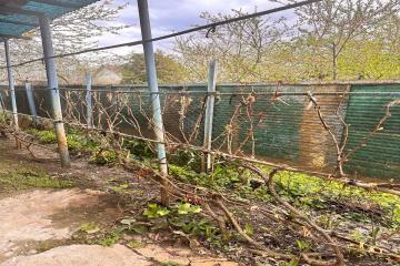 Фото №3: Дом 50 м² - Виктория, мкр. Карасунский внутригородской округ, ул. Персиковая, 297