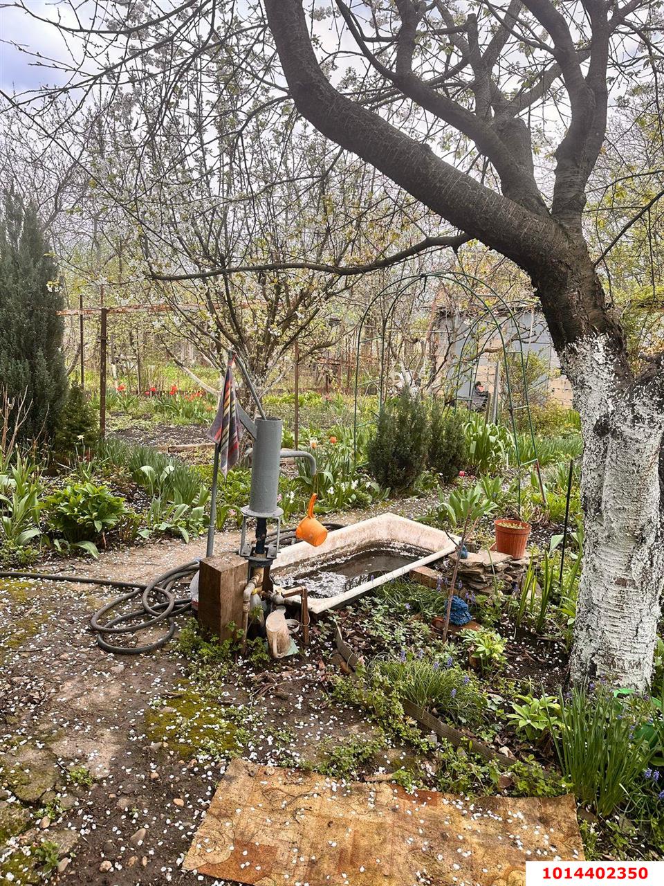 Фото №6: Дом 50 м² + 4 сот. - Виктория, мкр. Карасунский внутригородской округ, ул. Розовая