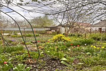 Фото №2: Дом 50 м² - Виктория, мкр. Карасунский внутригородской округ, ул. Персиковая, 297