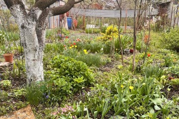 Фото №1: Дом 50 м² - Виктория, мкр. Карасунский внутригородской округ, ул. Персиковая, 297