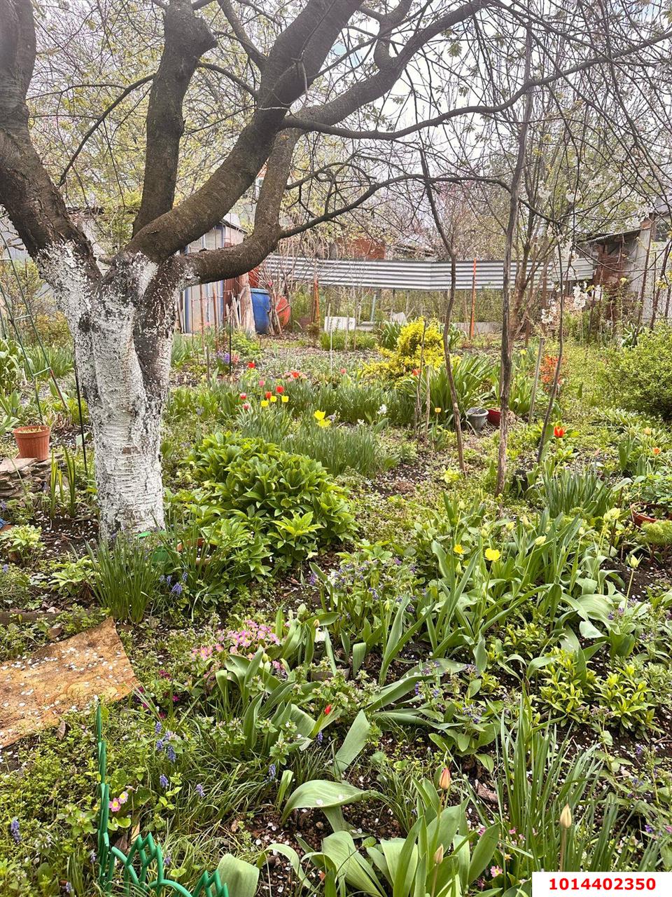 Фото №1: Дом 50 м² + 4 сот. - Виктория, Карасунский внутригородской округ, ул. Персиковая, 297