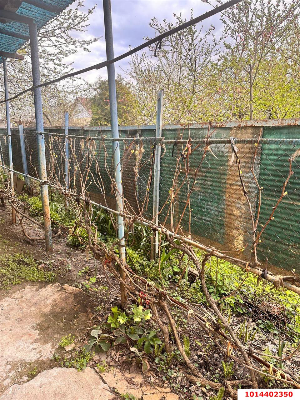 Фото №3: Дом 50 м² + 4 сот. - Виктория, Карасунский внутригородской округ, ул. Персиковая, 297