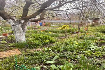 Фото №1: Дом 50 м² - Виктория, мкр. Карасунский внутригородской округ, ул. Персиковая, 297