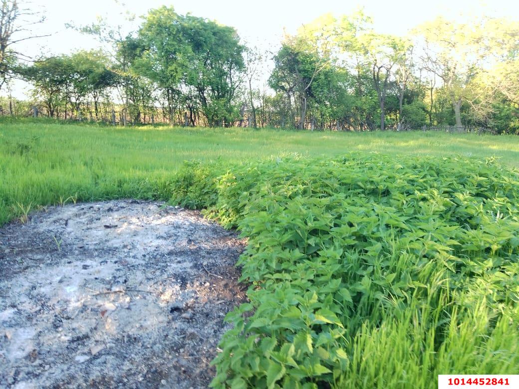 Фото №5: Земельный участок 10 сот. - Южный, мкр. Олимпийский, ул. Алмазная, 14