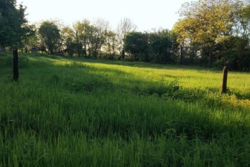 Фото №3: Земельный участок под ИЖС 10 сот. - Южный, мкр. Олимпийский, ул. Алмазная, 14