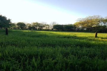 Фото №3: Земельный участок 10 сот. - Южный, мкр. Олимпийский, ул. Алмазная, 14