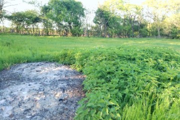 Фото №5: Земельный участок под ИЖС 10 сот. - Южный, мкр. Олимпийский, ул. Алмазная, 14