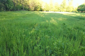 Фото №1: Земельный участок под ИЖС 10 сот. - Южный, мкр. Олимпийский, ул. Алмазная, 14