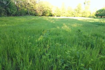 Фото №1: Земельный участок 10 сот. - Южный, мкр. Олимпийский, ул. Алмазная, 14