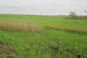 Фото №4: Земельный участок 6.3 сот. - Октябрьский, ст Краснодарсельмаш, ул. Абрикосовая, 46