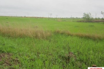 Фото №3: Участок садоводство 6.69 сот. - Октябрьский, ст Краснодарсельмаш, ул. Абрикосовая, 46