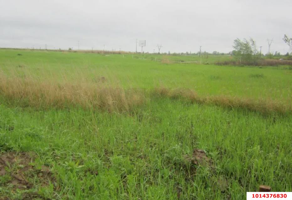 Фото №3: Участок садоводство 6.69 сот. - Октябрьский, Краснодарсельмаш, ул. Абрикосовая, 46