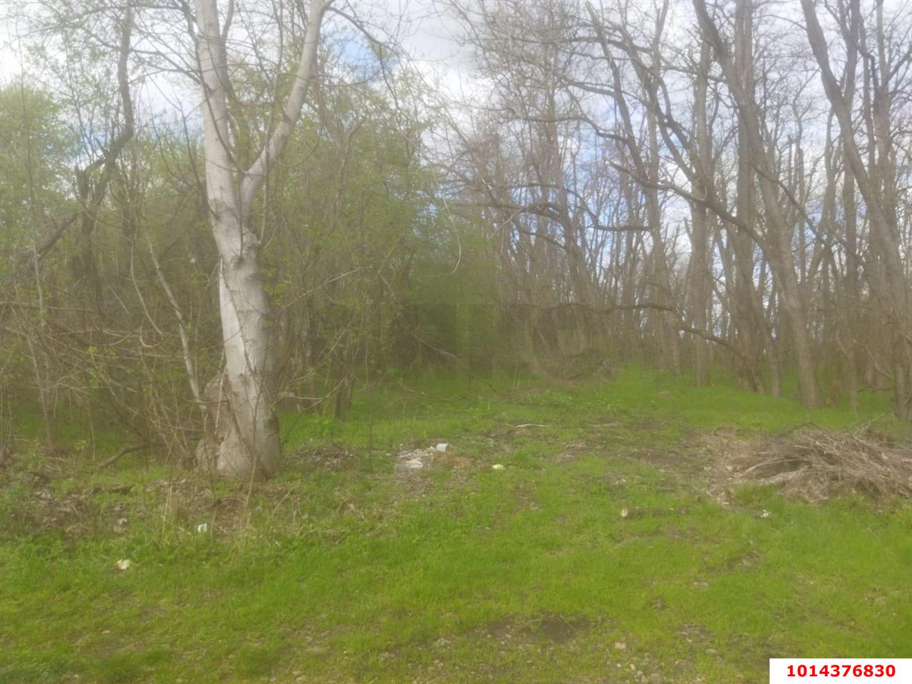 Фото №1: Участок садоводство 6.69 сот. - Октябрьский, Краснодарсельмаш, ул. Абрикосовая, 46