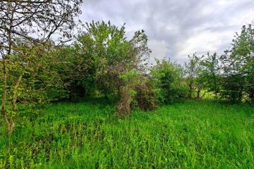 Фото №4: Земельный участок 13.5 сот. - Убинская, ул. Центральная, 3