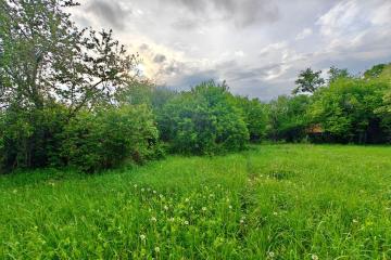 Фото №5: Земельный участок 13.5 сот. - Убинская, ул. Центральная, 3