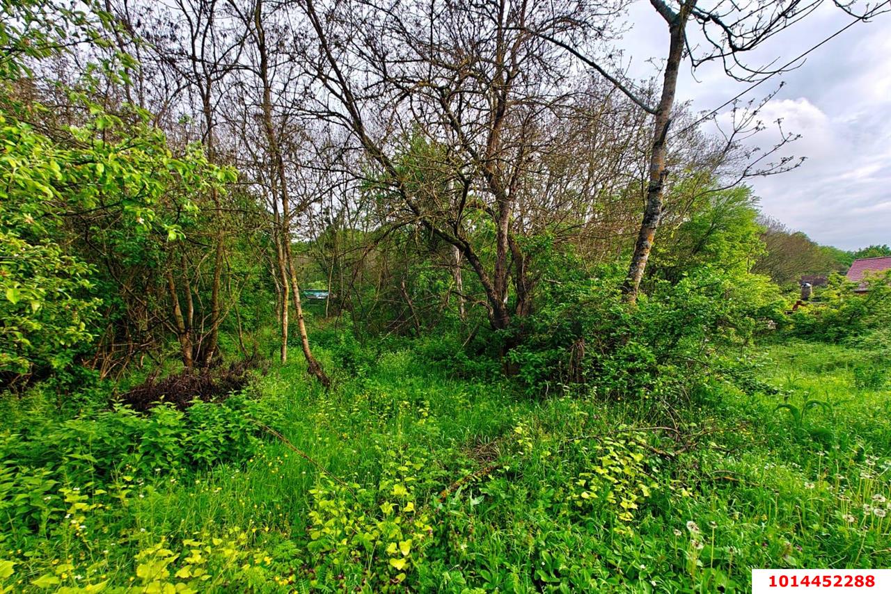 Фото №4: Земельный участок 20 сот. - Убинская, ул. Набережная, 11