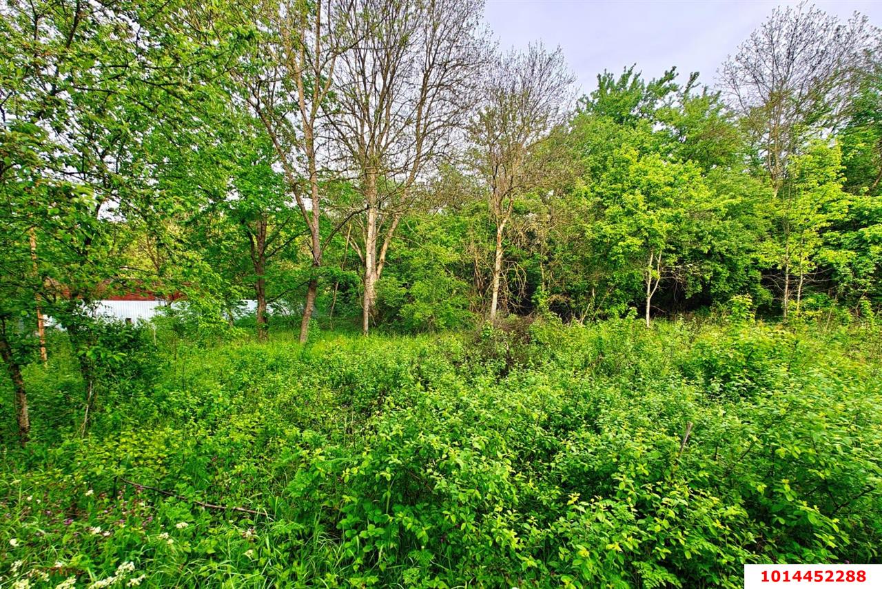 Фото №5: Земельный участок 20 сот. - Убинская, ул. Набережная, 11