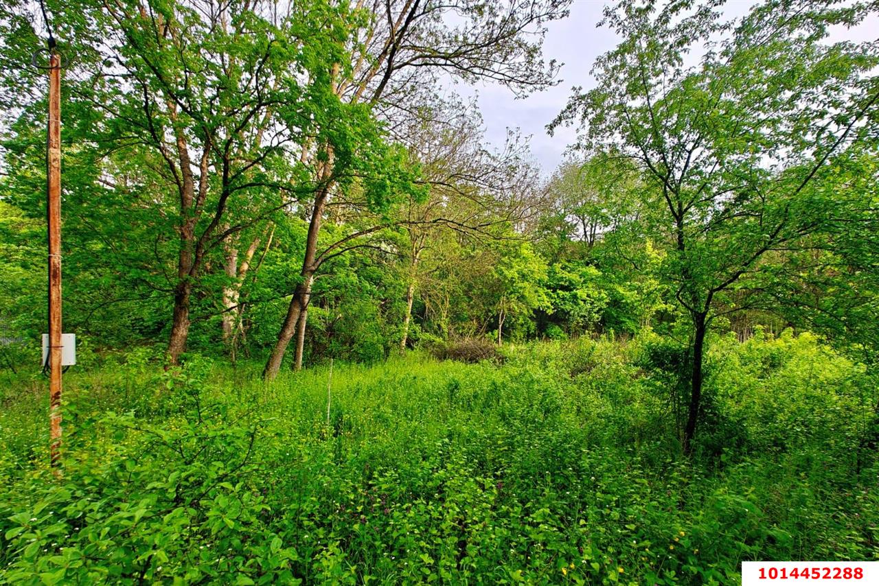 Фото №6: Земельный участок 20 сот. - Убинская, ул. Набережная, 11