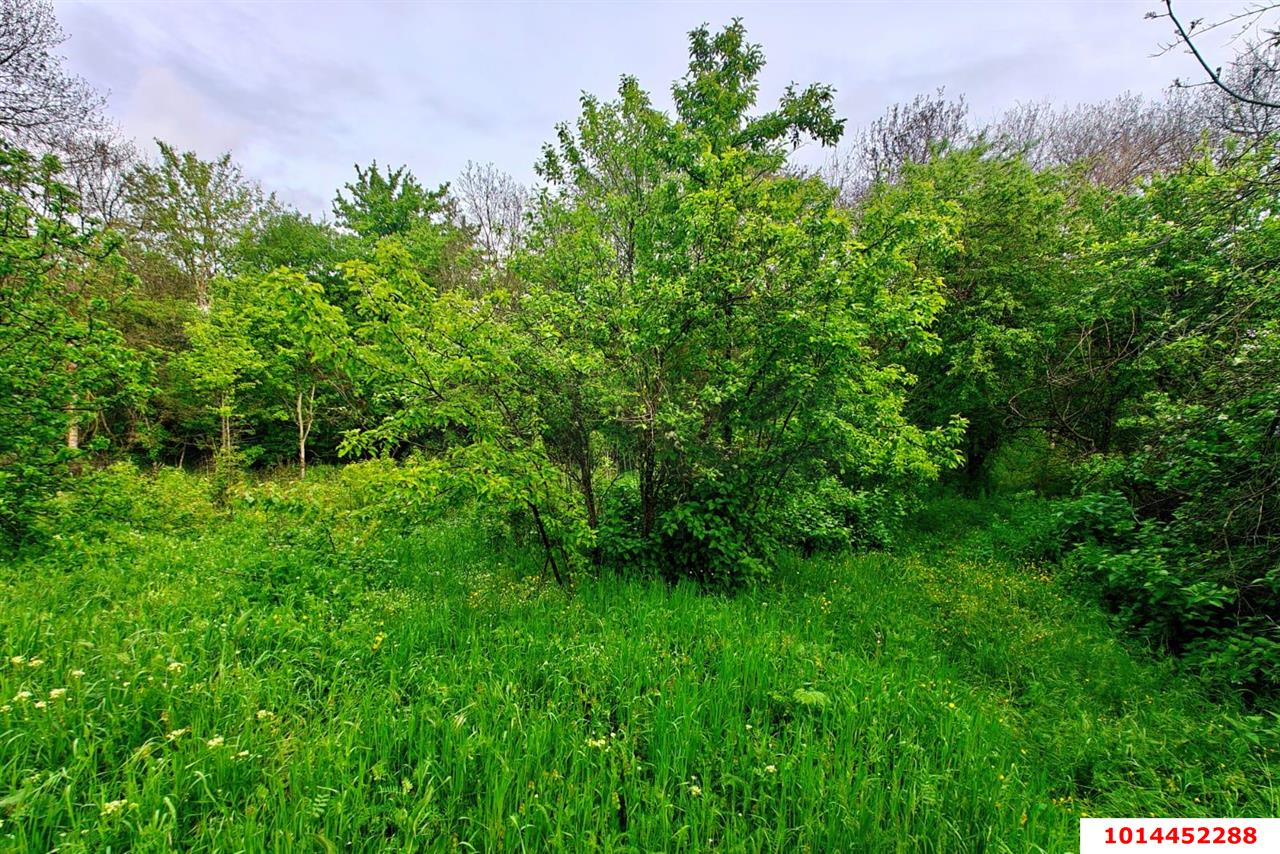 Фото №9: Земельный участок 20 сот. - Убинская, ул. Набережная, 11