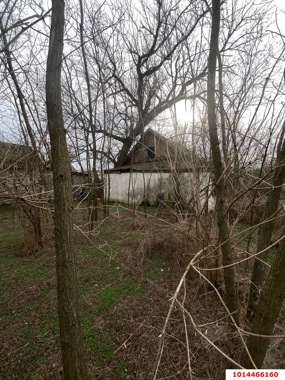 Фото №9: Дом 44 м² + 29.97 сот. - Новолеушковская, ул. Комсомольская, 133