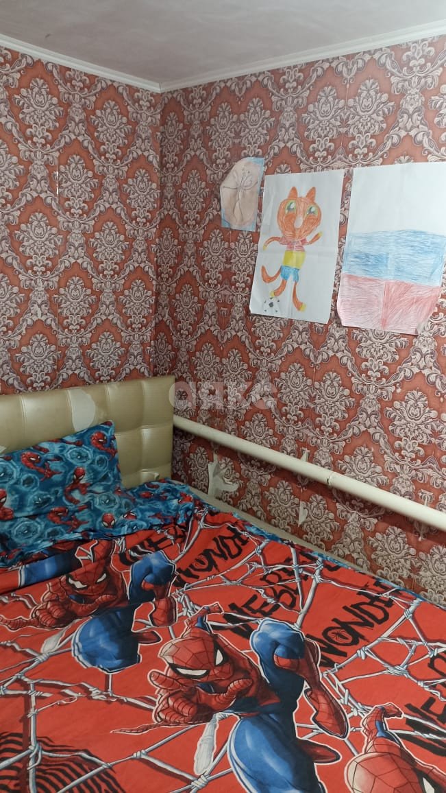 Фото №8: Дом 60 м² + 13 сот. - Сенной, ул. Мира
