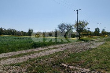Фото №1: Личное подсобное хозяйство - Краснодарский край Темрюкский район