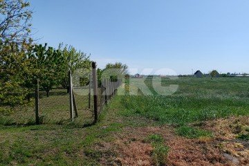 Фото №3: Личное подсобное хозяйство - Краснодарский край Темрюкский район