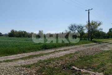 Фото №4: Личное подсобное хозяйство - Краснодарский край Темрюкский район