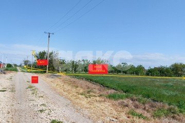 Фото №2: Личное подсобное хозяйство - Краснодарский край Темрюкский район