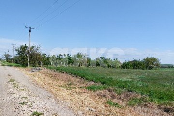 Фото №5: Личное подсобное хозяйство - Краснодарский край Темрюкский район