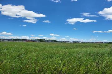 Фото №1: Земельный участок 10.09 сот. - Южный, мкр. Олимпийский, ул. Красная, 58