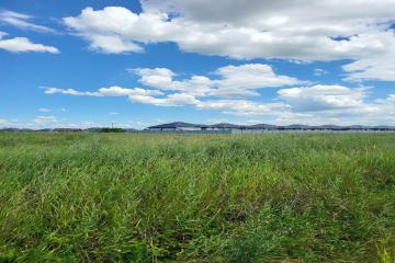 Фото №3: Земельный участок 10.09 сот. - Южный, мкр. Олимпийский, ул. Красная, 58