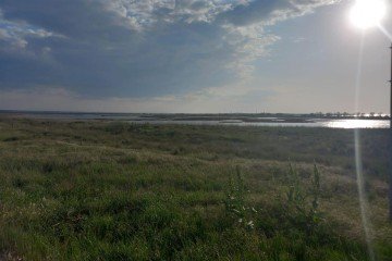 Фото №3: Коммерческая земля 100 сот. - Межводное, ул. Черноморское шоссе, 103А