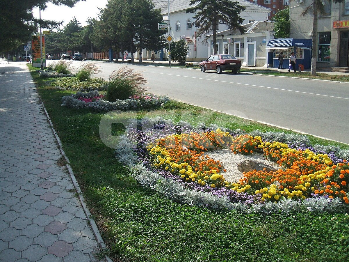 Фото №14: Земельный участок под ИЖС 5 сот. - Темрюк, ул. Горького