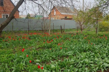 Фото №5: Дом 52 м² - Краснодар, п. Калинино, ул. 1 Мая, 451