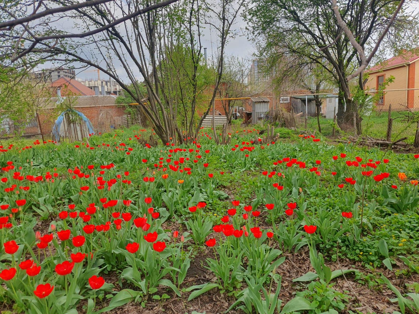 Фото №6: Дом 52 м² + 6.65 сот. - Краснодар, Прикубанский внутригородской округ, Завод Радиоизмерительных Приборов, п. Калинино, ул. 1 Мая, 451