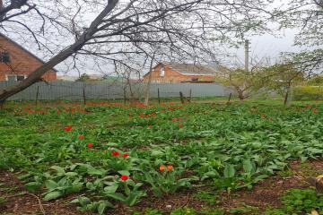 Фото №5: Дом 52 м² - Краснодар, п. Калинино, ул. 1 Мая, 451