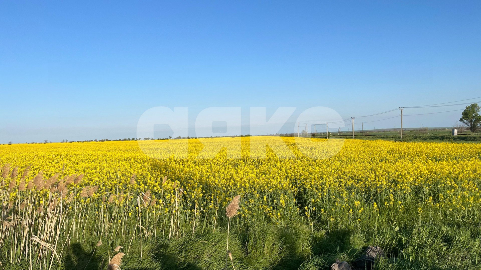 Фото №28: 2-комнатная квартира 49 м² - Светлый Путь Ленина, ул. Луговая, 2