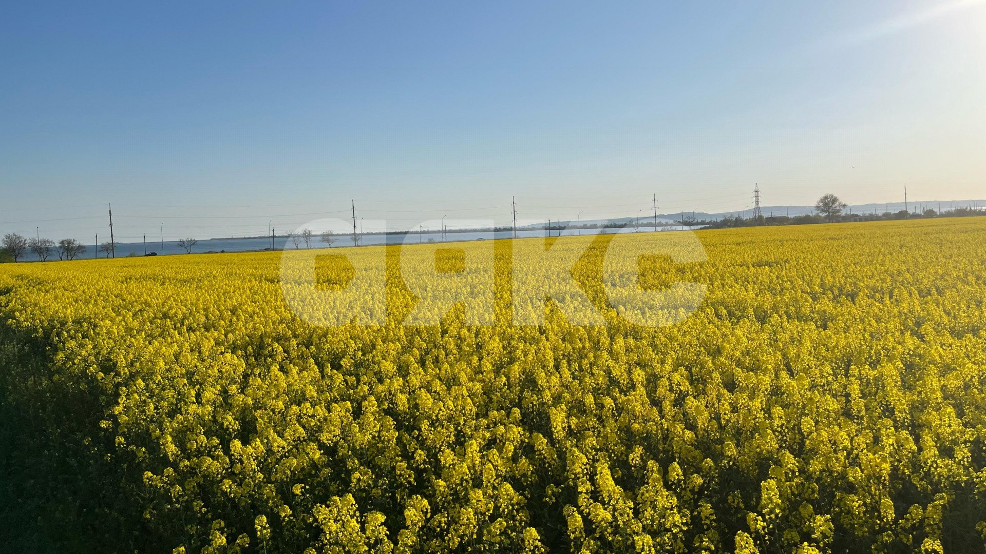 Фото №21: Дом 71 м² + 9.29 сот. - Фонталовская, 