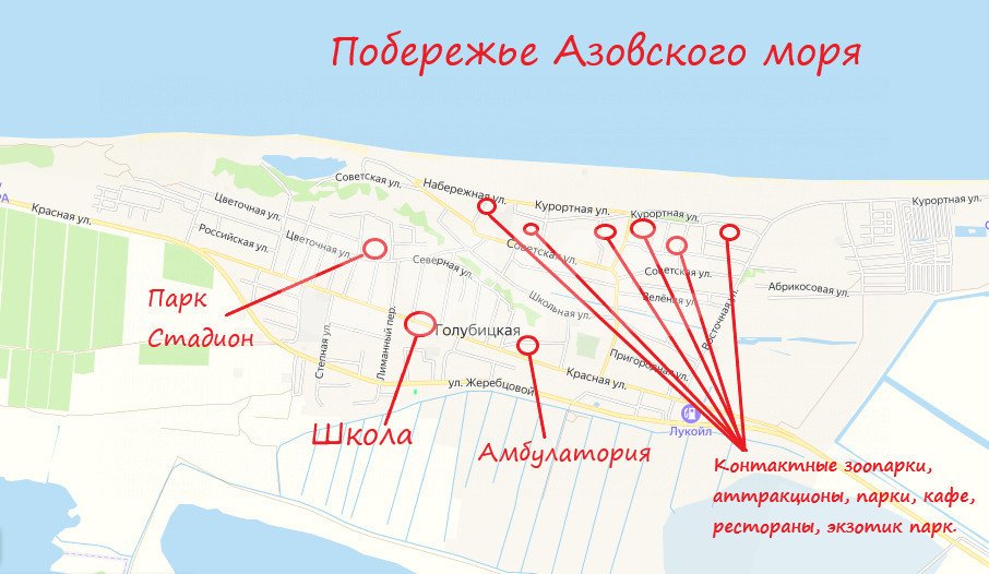 Фото №36: Дом 110 м² + 5 сот. - Голубицкая, ул. Григория Голубицкого, 21