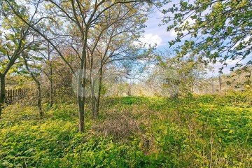Фото №5: Земельный участок под ИЖС - Бяково, ул. Центральная, 30