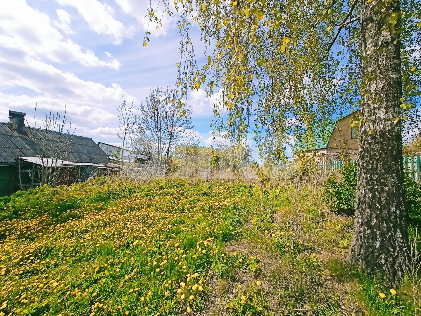 Фото №2: Земельный участок под ИЖС 13 сот. - Бяково, ул. Центральная, 30