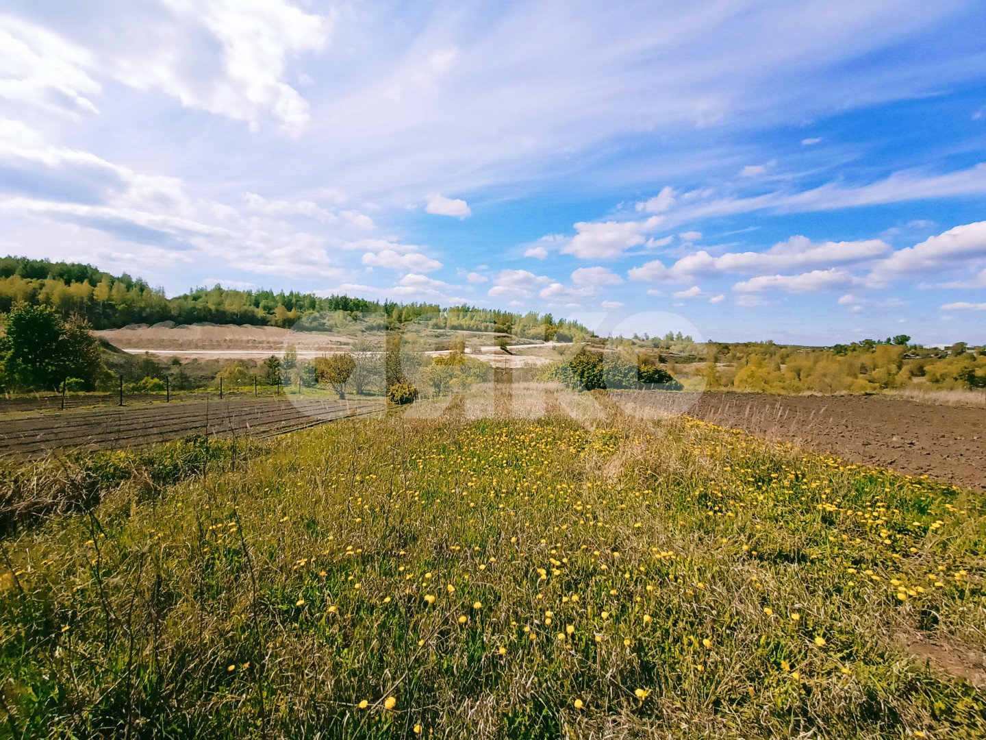 Фото №8: Земельный участок под ИЖС 13 сот. - Бяково, ул. Центральная, 30