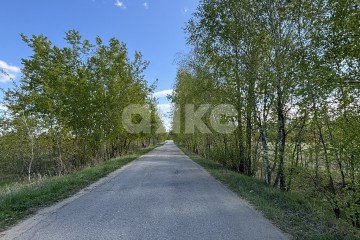 Фото №4: Земельный участок под ИЖС - Московская область Раменский муниципальный округ