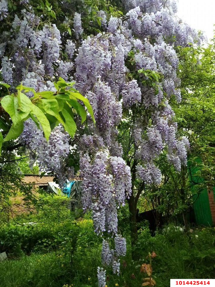 Фото №8: Дом 35 м² + 4 сот. - Шоссейное, Прикубанский внутригородской округ, ул. Вишнёвая, 3