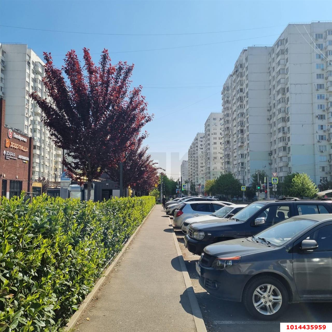 Фото №13: Торговое помещение 59 м² - Краснодар, Московский, ул. Карякина